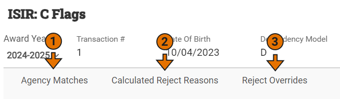 ISIR C Flags page with each section highlighted: agency matches, calculated reject reasons, and reject overrides.